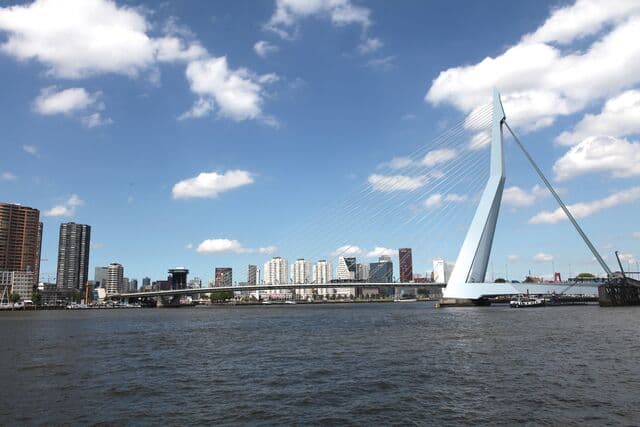 Erasmusbrug Skyline